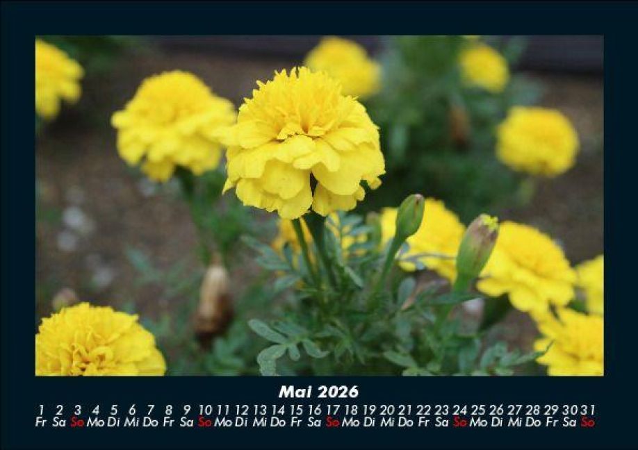 InsideView 9