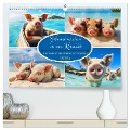 Schweinereien in der Karibik. Sonne und Spaß mit schwimmenden Schweinen (hochwertiger Premium Wandkalender 2025 DIN A2 quer), Kunstdruck in Hochglanz - Rose Hurley