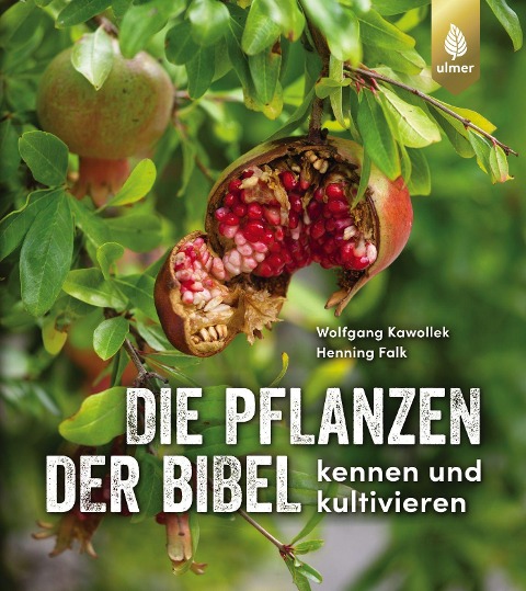Die Pflanzen der Bibel - Wolfgang Kawollek, Henning Falk