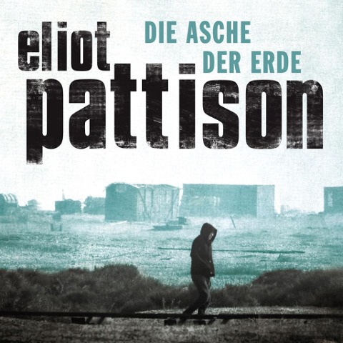 Die Asche der Erde - Eliot Pattison