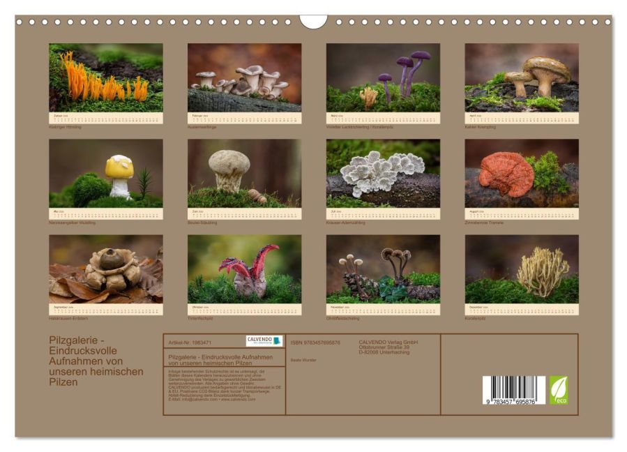 InsideView 5
