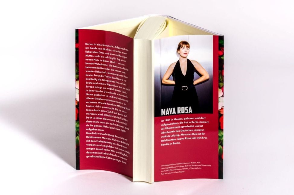 InsideView 4