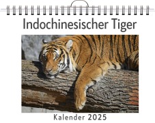 Cover-Bild zum Titel 'Indochinesischer Tiger' von 'Marie Richter'