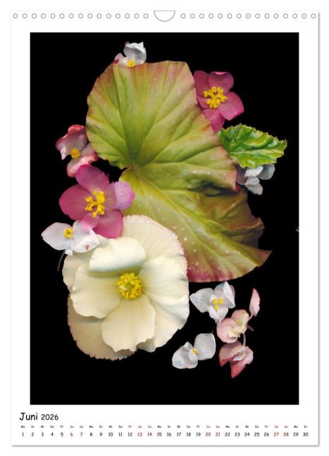 InsideView 11
