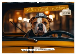 Süße Hunde cruisen - durch das Jahr mit dem Hundekalender (Wandkalender 2025 DIN A2 quer), CALVENDO Monatskalender - Mb Fotografie