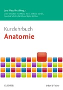 Cover-Bild zum Titel 'Kurzlehrbuch Anatomie' von 'Marco Koch, Stefanie Kürten, Gundula Schulze-Tanzil, Björn Spittau'