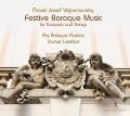 Cover-Bild zum Titel 'Pavel Josef Vejvanovsky: Festive Baroque Music for' von 'Ars Antiqua AustriaGunar Letzbor'