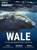 Cover-Bild zum Titel 'Spektrum Kompakt - Wale' von ''