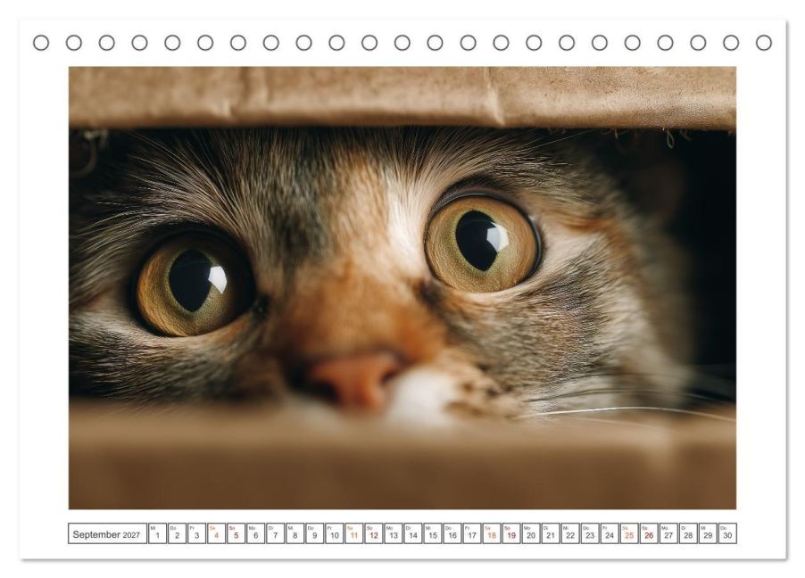 InsideView 14