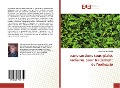 Cover-Bild zum Titel 'trans-sections sous-piales radiaires pour traitement de l'épilepsie' von 'Glennie Ntsambi Eba'
