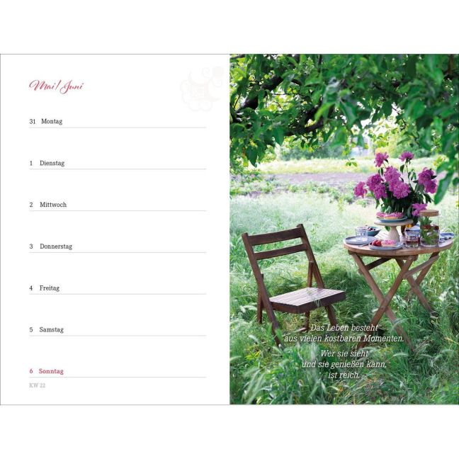 InsideView 13