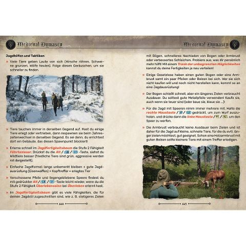 InsideView 6