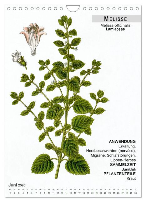 InsideView 11