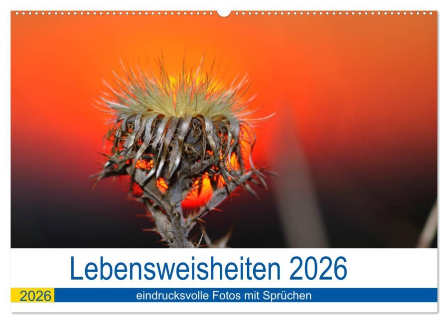 Lebensweisheiten 2026 (Wandkalender 2026 DIN A2 quer), CALVENDO Monatskalender - Michis Fotogalerie