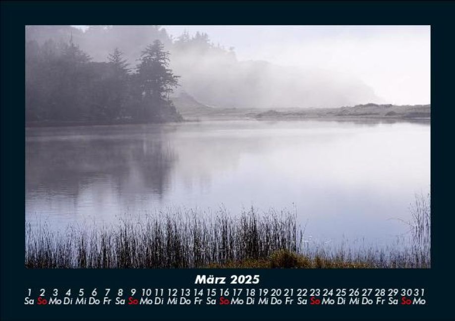 InsideView 7