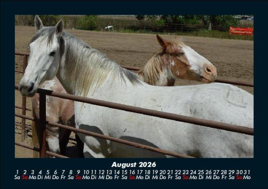 InsideView 12
