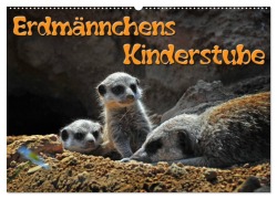 Cover-Bild zum Titel 'Erdmännchens Kinderstube (Wandkalender 2026 DIN A2 quer), CALVENDO Monatskalender' von 'Ingo Laue'