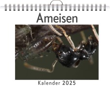 Cover-Bild zum Titel 'Ameisen' von 'Alice Schubert'