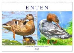 Enten. Bezaubernde und beliebte Schwimmer (Wandkalender 2025 DIN A2 quer), CALVENDO Monatskalender - Rose Hurley