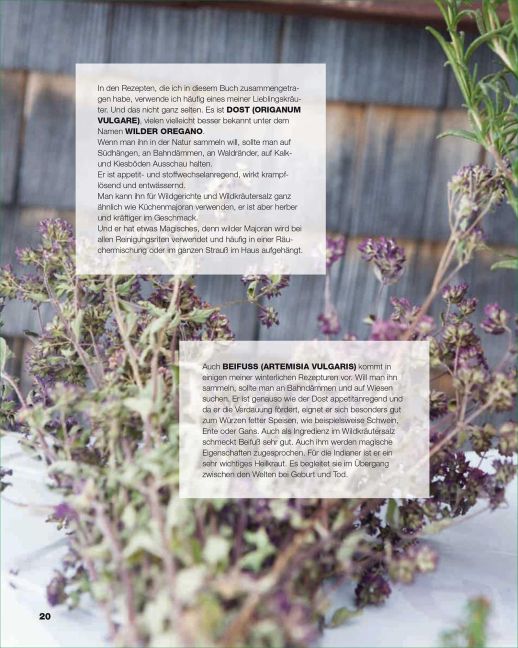 InsideView 4