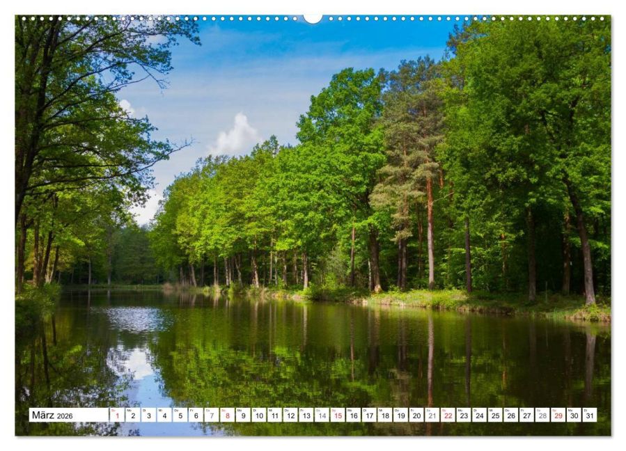 InsideView 8