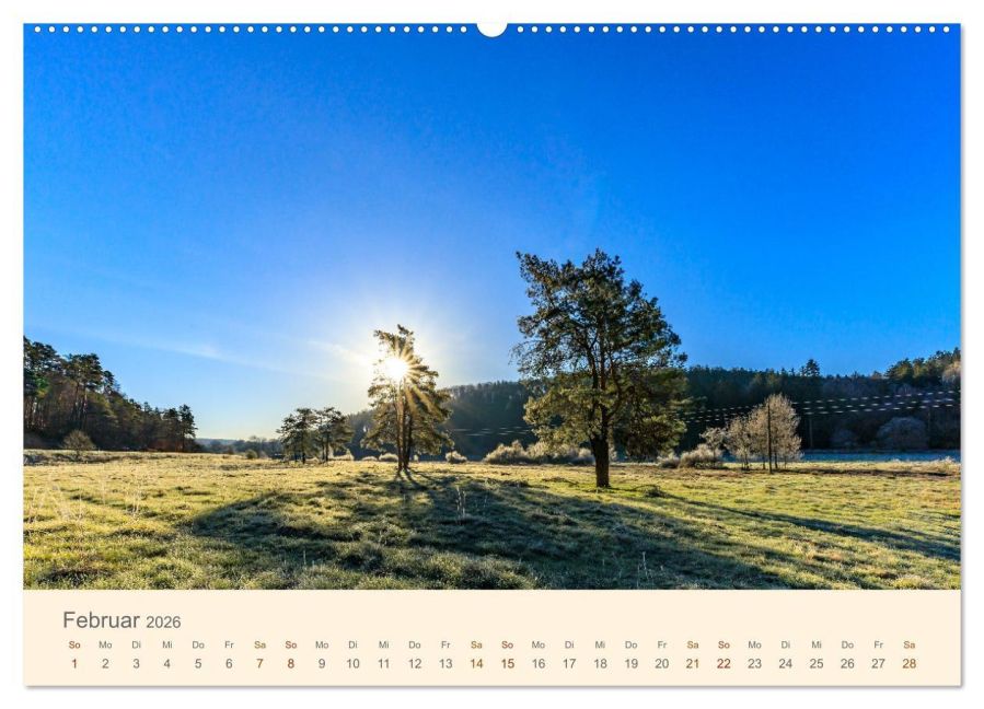 InsideView 7