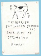 Cover-Bild zum Titel 'Please Look in the Basement' von 'Maarten Inghels'