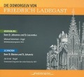 Cover-Bild zum Titel 'Die Domorgeln von Ladegast: Schwerin und Merseburg' von 'Schönheit/Schult/Ernst/Scheibner/Lorenz/Vieweg'