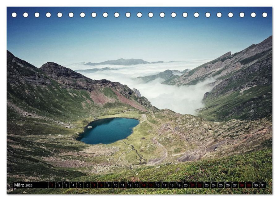 InsideView 8