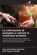 Cover-Bild zum Titel 'La coltivazione di pomodori e cetrioli in condizioni protette' von 'José Justo Mateo Sánchez, Juan Capulín Grande'