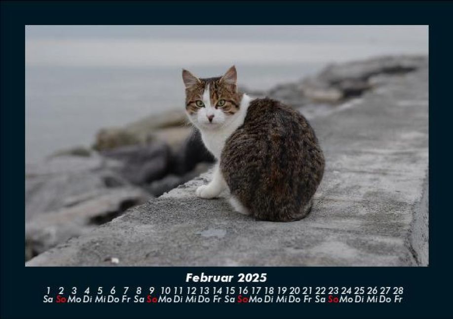 InsideView 6