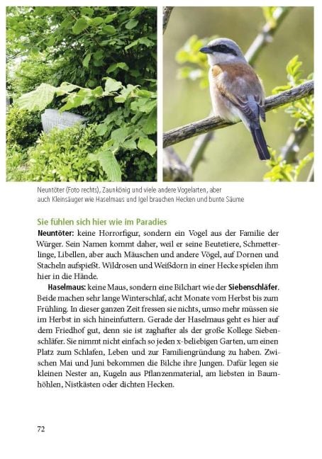 InsideView 3