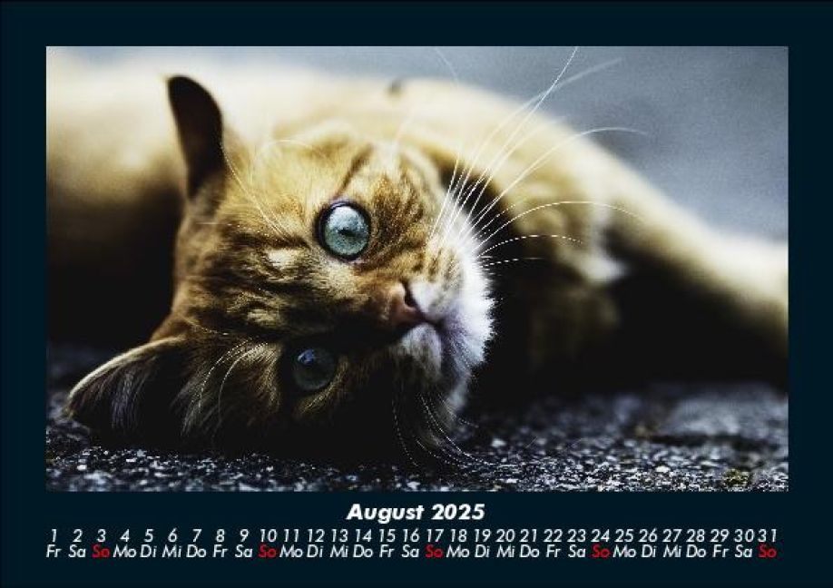 InsideView 12