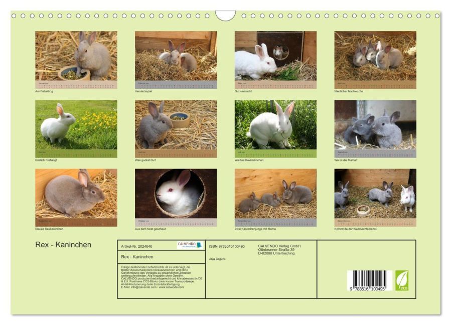 InsideView 5
