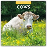 Cover-Bild zum Titel 'Cows - Kühe 2027 - 16-Monatskalender' von 'Robin Red'