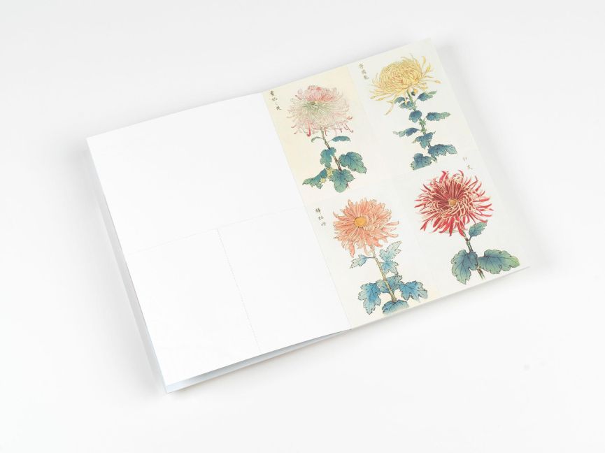 InsideView 5