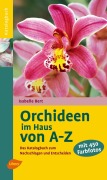 Cover-Bild zum Titel 'Orchideen im Haus von A - Z' von 'Isabelle Bert'