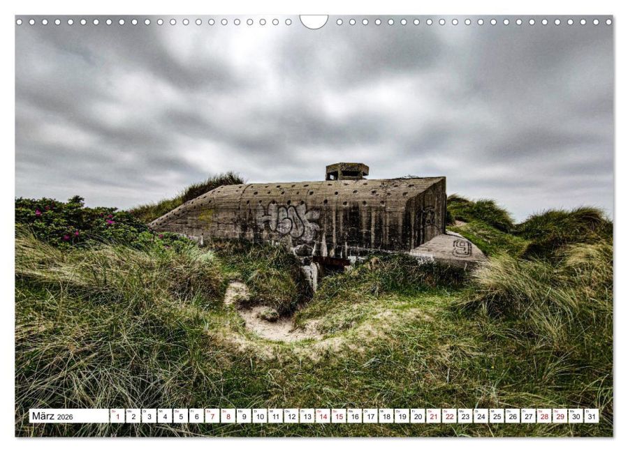 InsideView 8