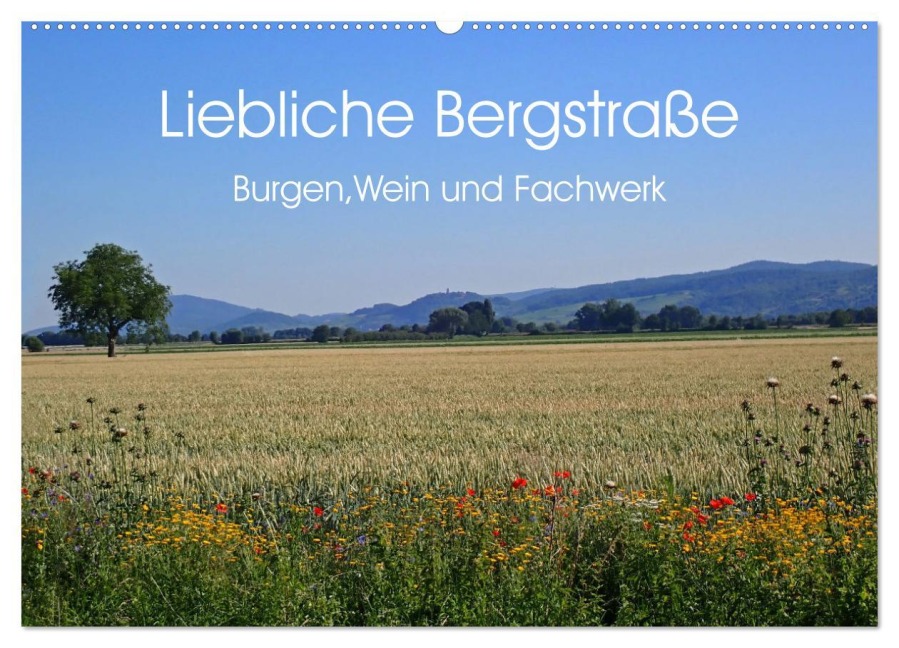Liebliche Bergstraße - Burgen, Wein und Fachwerk (Wandkalender 2026 DIN A2 quer), CALVENDO Monatskalender - Ilona Andersen