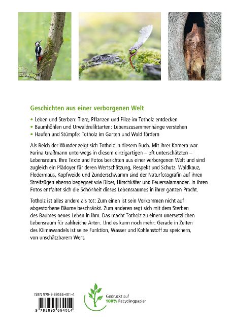InsideView 12