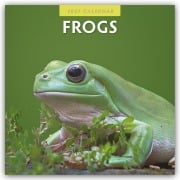 Cover-Bild zum Titel 'Frogs - Frosch - Frösche 2027 - 16-Monatskalender' von 'Robin Red'