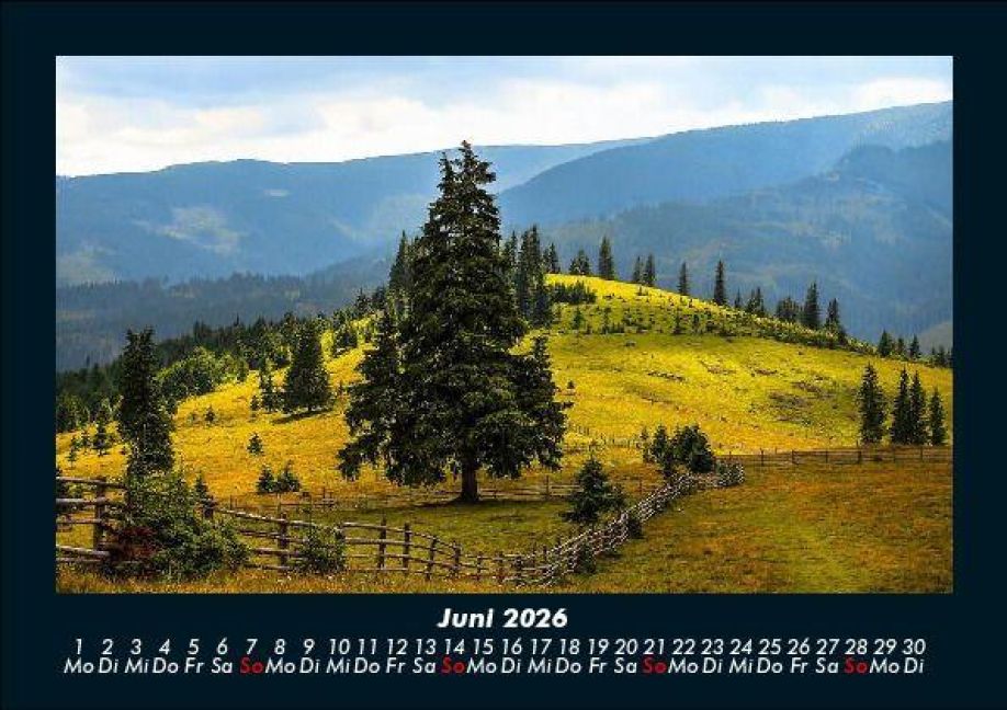 InsideView 10