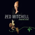 Cover-Bild zum Titel 'Springtime In Paris' von 'Zed Mitchell'