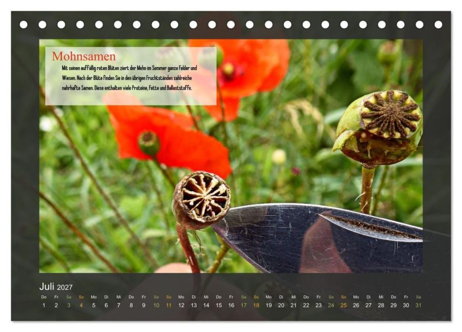 InsideView 12