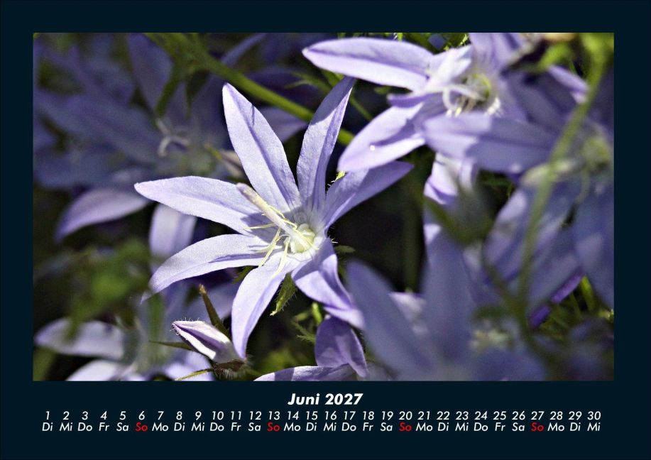 InsideView 10
