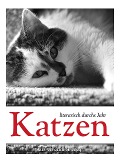 Katzen - literarisch durchs Jahr 2024 - Vivendi Ars