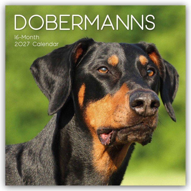 Dobermans - Dobermann 2027 - 16-Monatskalender - Gifted Stationery Co. Ltd