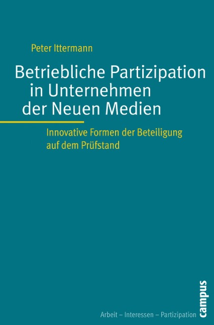 Betriebliche Partizipation in Unternehmen der Neuen Medien - Peter Ittermann