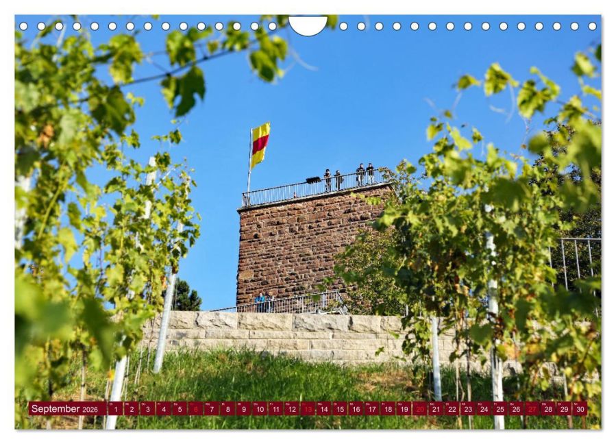 InsideView 14
