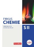 Fokus Chemie - Sekundarstufe II Einführungsphase - Niedersachsen - Schülerbuch - Holger Fleischer, Jörn Peters, Chaya Christina Stützel